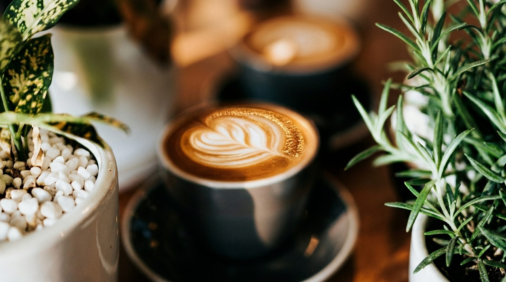 Small-Batch Roasted, Made To Order